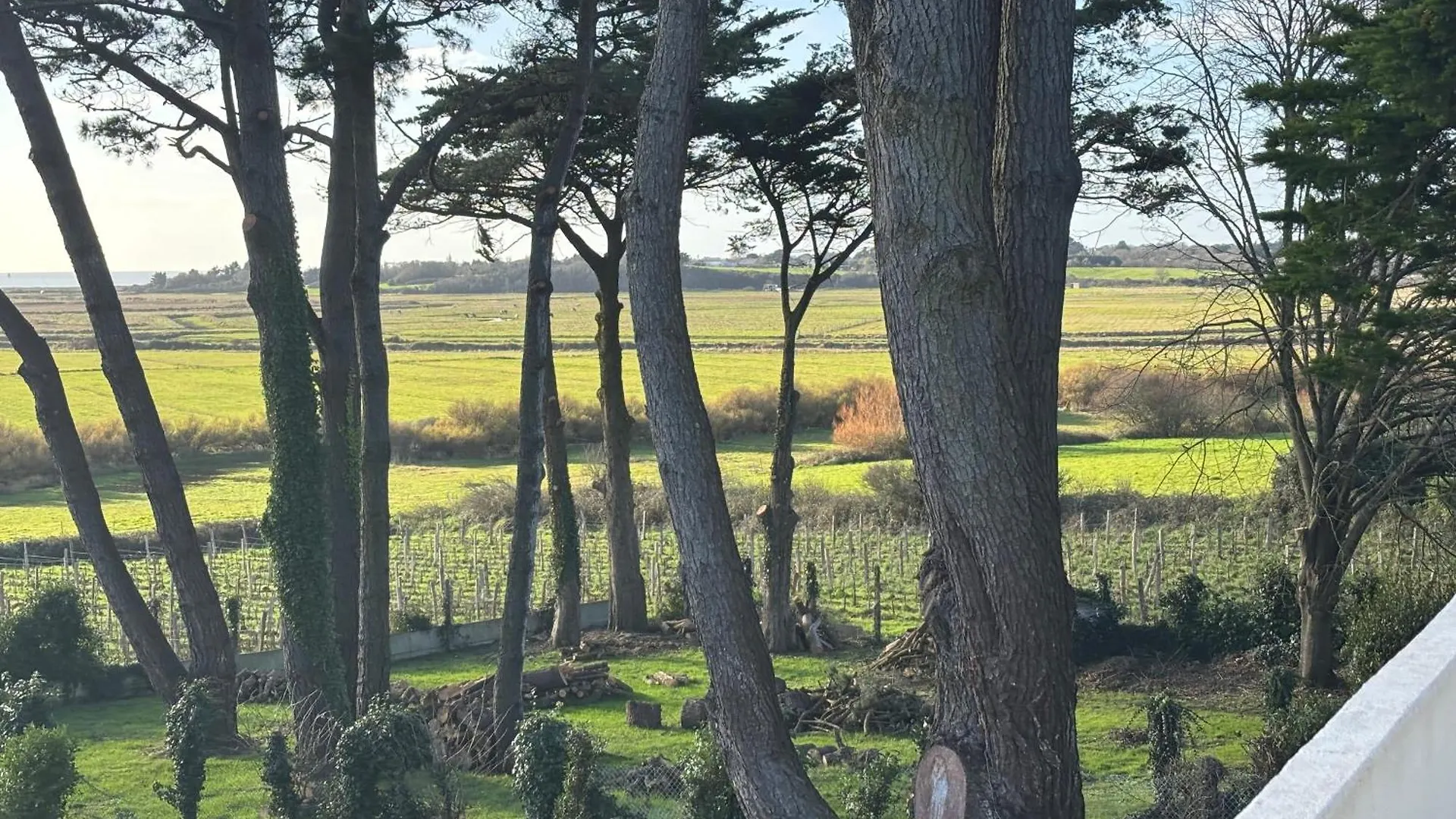 Villa Vieilles Vignes Vue Mer Billiers 0*,
