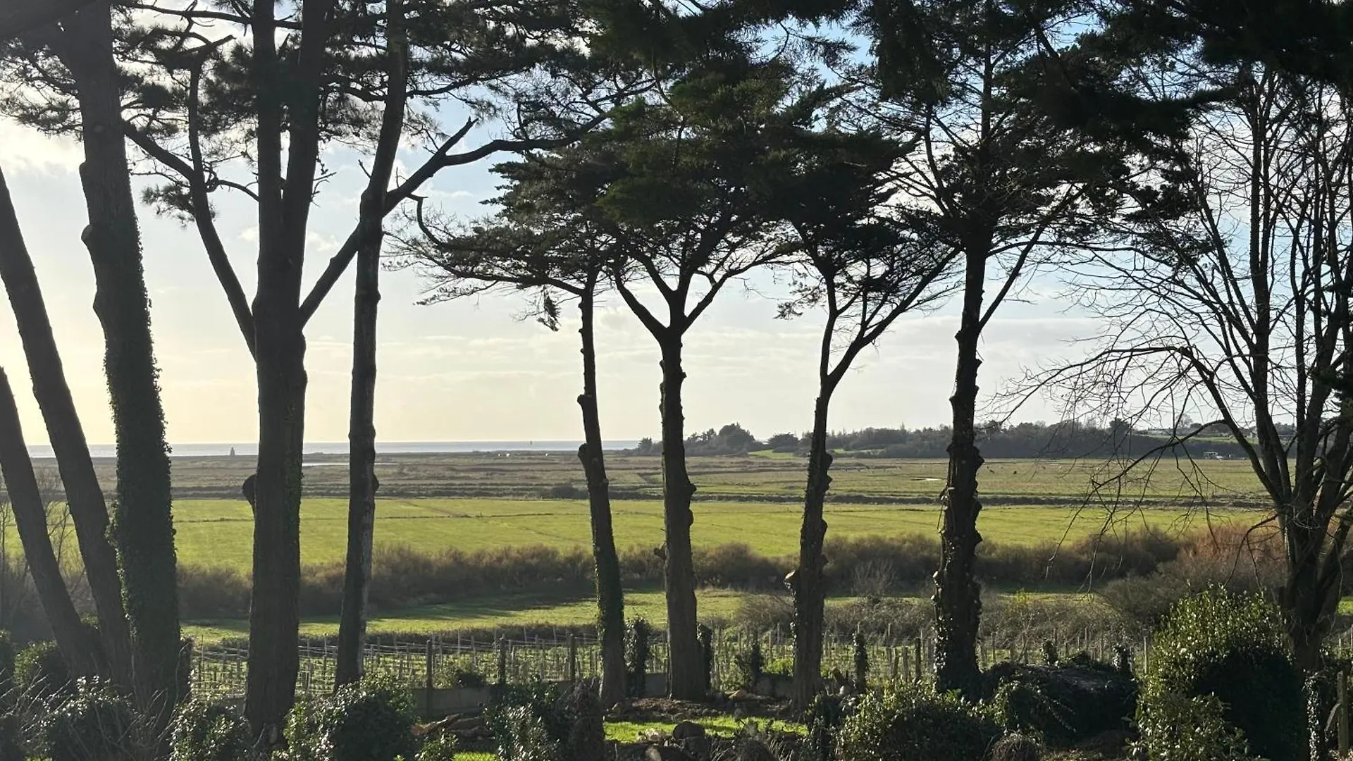 Hébergement de vacances Villa Vieilles Vignes Vue Mer Billiers